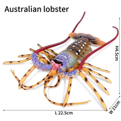 Realistic Sea Life Figure Toy - Shark and Whale Ocean Animal (Australian lobster)