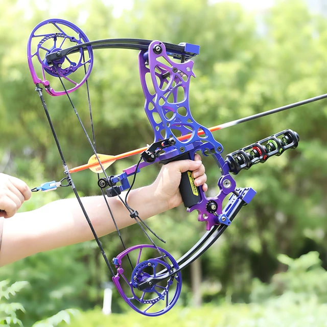 35-70lbs Dual-use Compound Bow Ox Head 201 Let-off 82% Fit Steel Ball/Arrow  Right Hand Hunting Shooting Archery Accessories - AliExpress