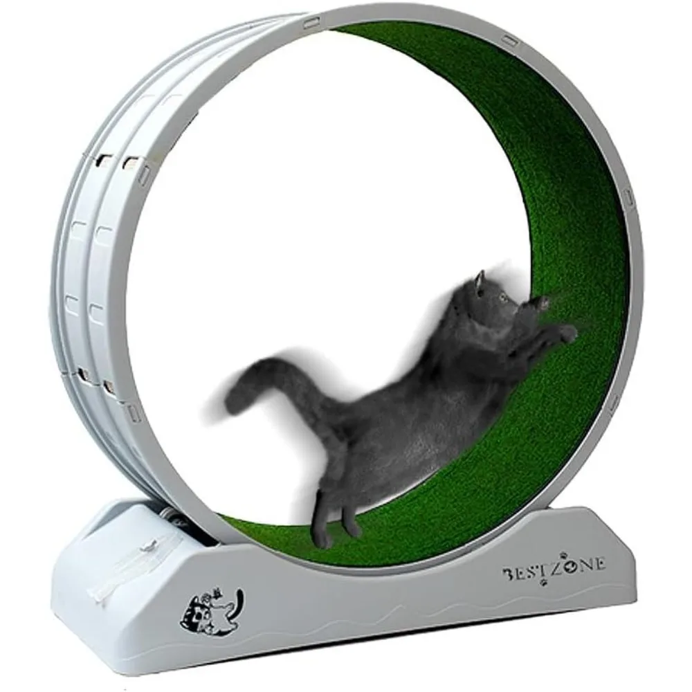 

Cat Exercise Wheel Things for Cats Toys Ultra-Quiet Promotes Healthy Exercise With Locking Mechanism Interesting Products Pets