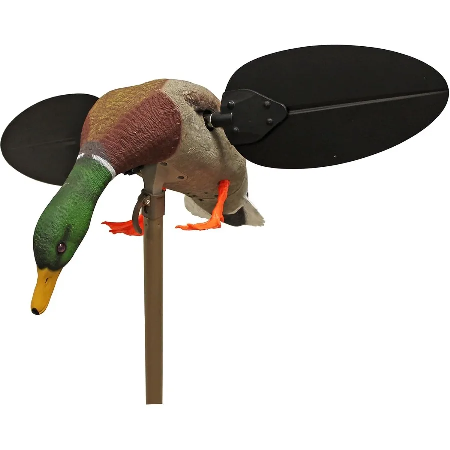 description