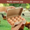 Egg Cartons Paper Pulp Empty Egg Cartons 3x4 Style Reusable Cardboard Egg Cartons Multipurpose Egg Carton Trays for Kitchen 6