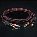 Red and black web