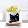 Black Cat Patterned Ceramic Flowerpot with Tray for Home Office Decor Gift for Plant Lovers Family Friend (excluding Plants) 3