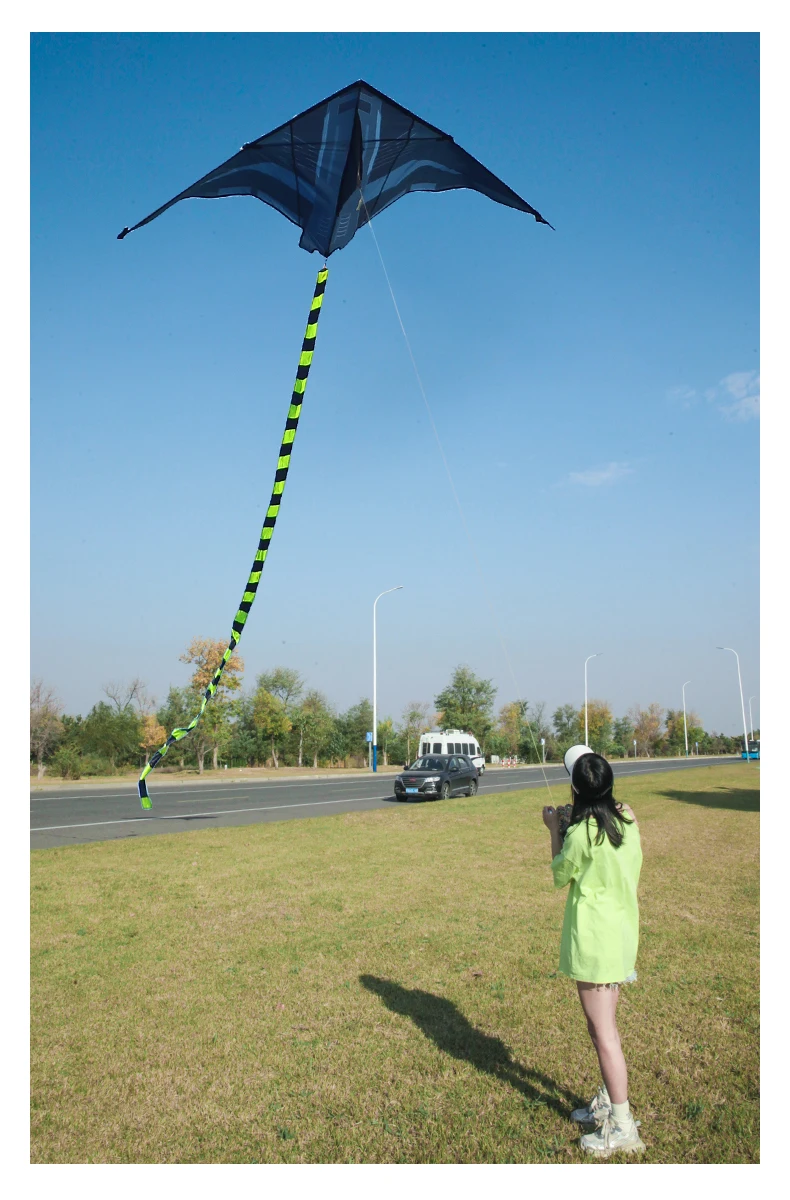 Kite Handle and Line