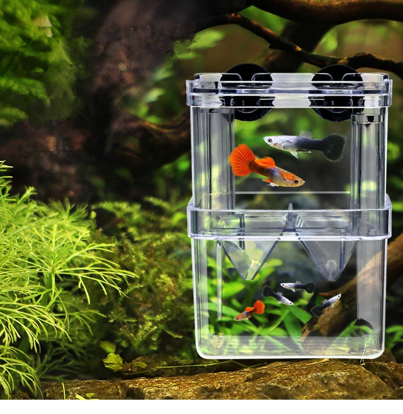 Acrylic Fish Tank Breeding Isolation Box Aquarium Hatchery Incubator Holder Accessories