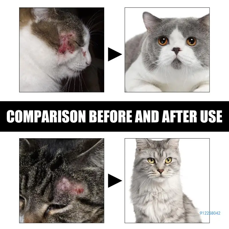And Dog Skin-Disease Problems Ringworm for Dogs Itching Relief