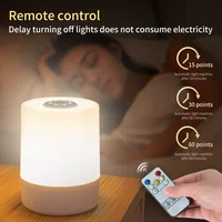 Rechargeable Led Night Light with Remote Control Timing Dimmable Table Lamp Baby Nursery Bedside Sleeping Reading Touch Switch 2