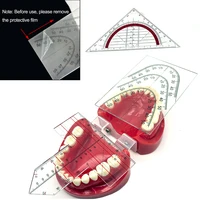 Dental ruler Dental Guide Plate Teeth Arrangement on Denture Work Dental Teeth Guide Plate Ruler Denture Drawing And Alignment