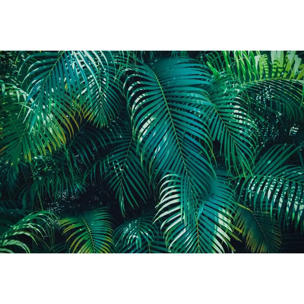 ȭ ȣ  ҷ     Ȱ   Bokeh  Ƽ ,   ǰ