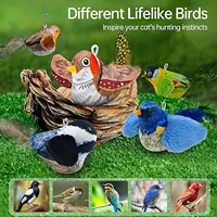 Indoor Interactive Birds Toy for Cat Chasing Teasing Toy Sounding Catnip Cat Teaser Toy Self-hilarity Wall Hanging Birds Cat Toy 5