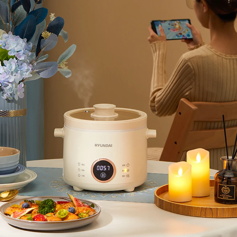 2L Electric Rice Cooker Cooking Pot Mini Multicooker Lunch Box Rice Cookers Hotpot Non-stick Electric Skillet Food Steamer 220V 4