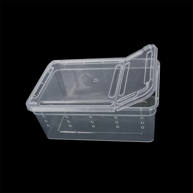 Title 5, 19cmx12.5cmx7.5cm Terrarium For Reptiles Spider...