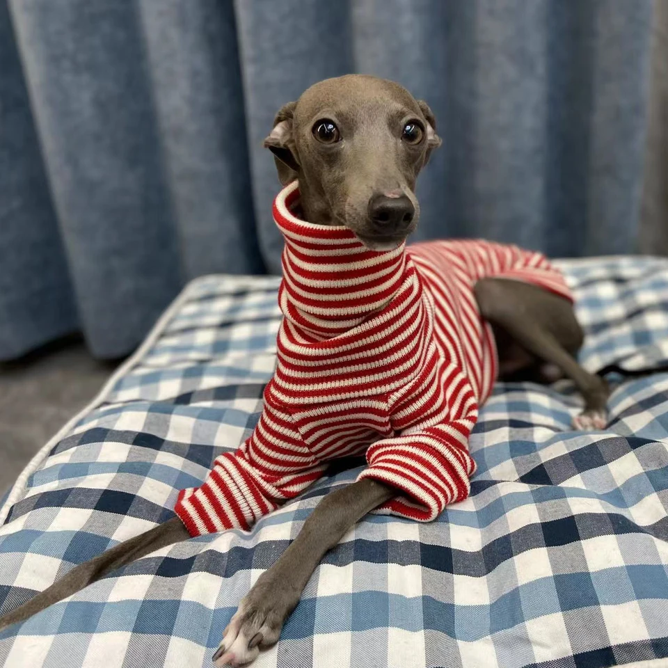 Suéter listrado vermelho galgo italiano Whippet gola alta casaco elástico  roupas quentes para animais de estimação - AliExpress, image size:960x960