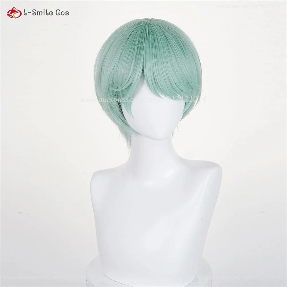 Anime Cosplay Wig Image 18