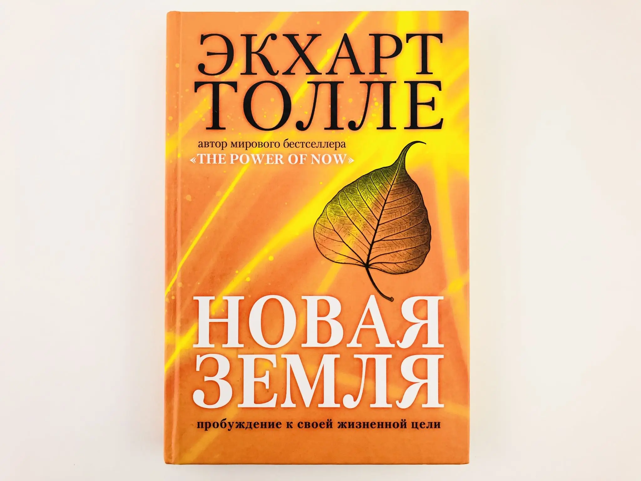 Толле новая книга. Книга новая земля Экхарт Толле. Э Толле. The Power of Now Экхарт Толле книга. Экхарт Толле новая земля о чем.