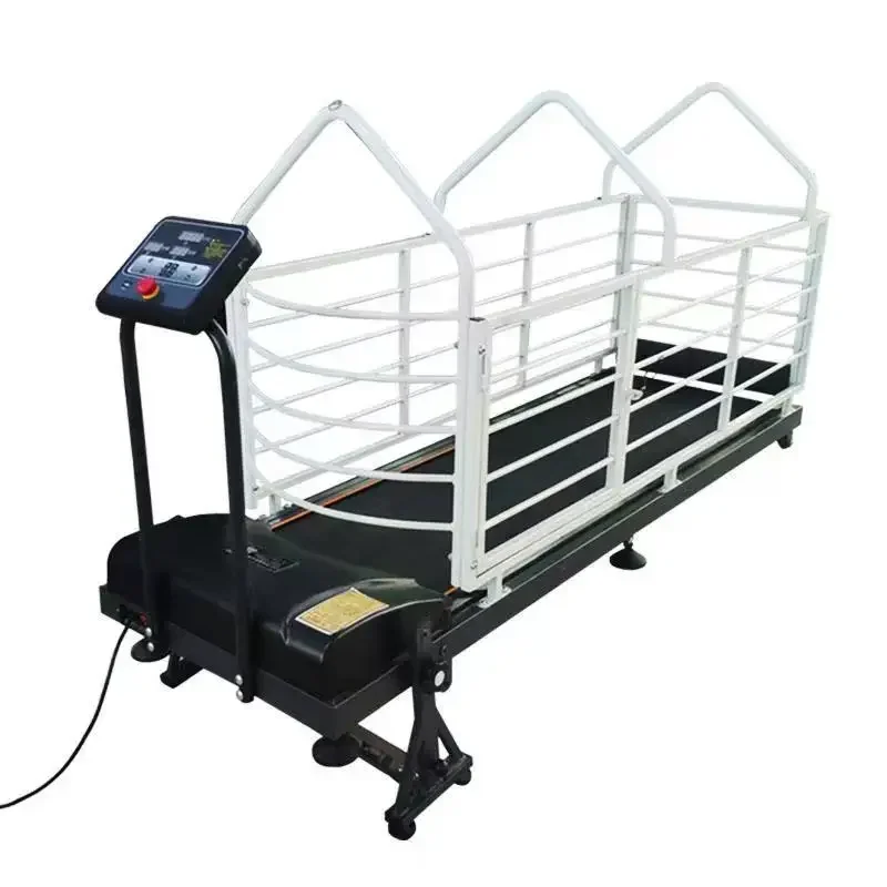 Laufband für Hunde, zum Üben, Gehen, Haustier, gerade, elektrisch, für große Hunde