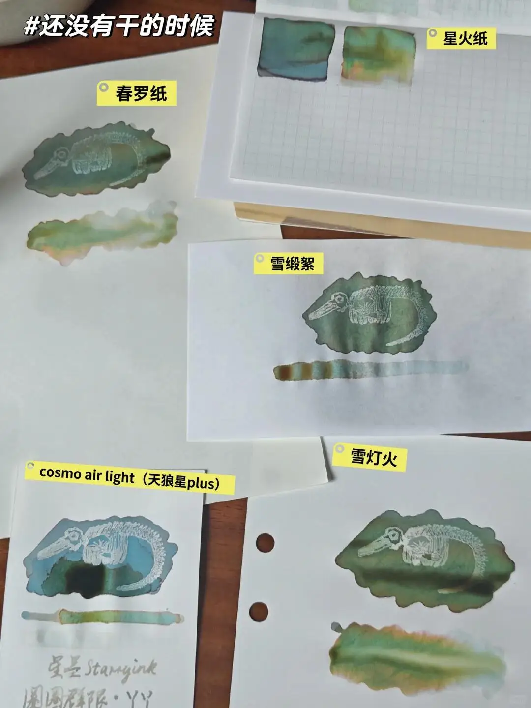 Zoo Ink, YAYA, 컬러 염료 만년필 잉크, 크로마토그래픽 잉크, 30ml