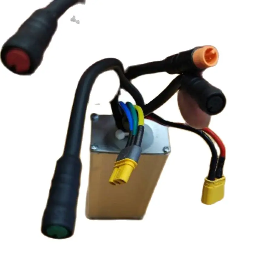 LSW154216f Lsdzs Lishui Controller For Brushless Motor 36V 12A