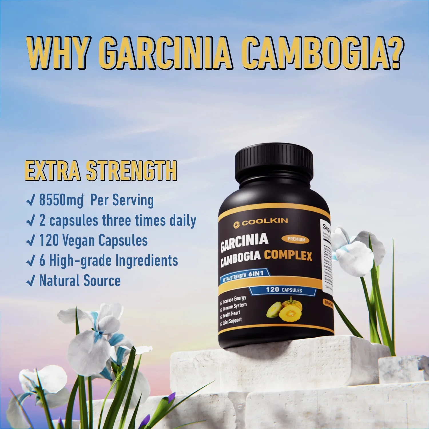 Garcinia Cambogia Fat Burner Detox Appetite Suppressant Skin Beauty Energy Metabolism Supplement garcinia cambogia extract