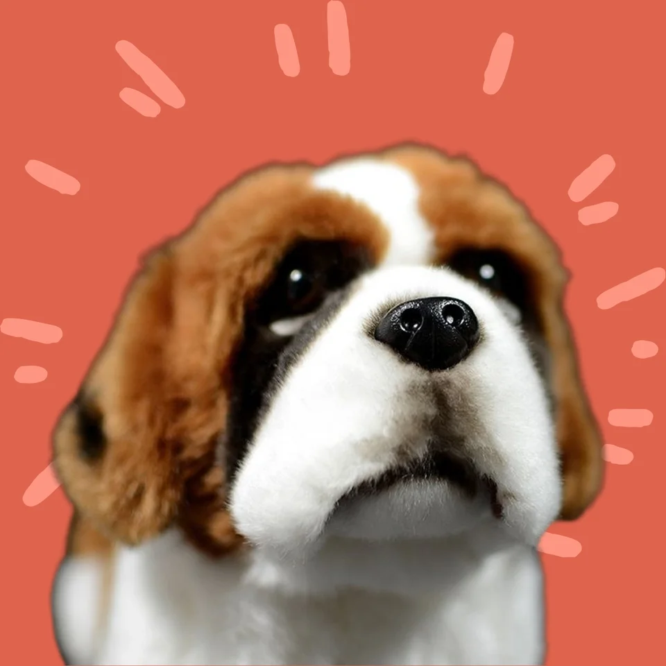 オリエンタル製チャイルドバーナード レア物リアルペット メル