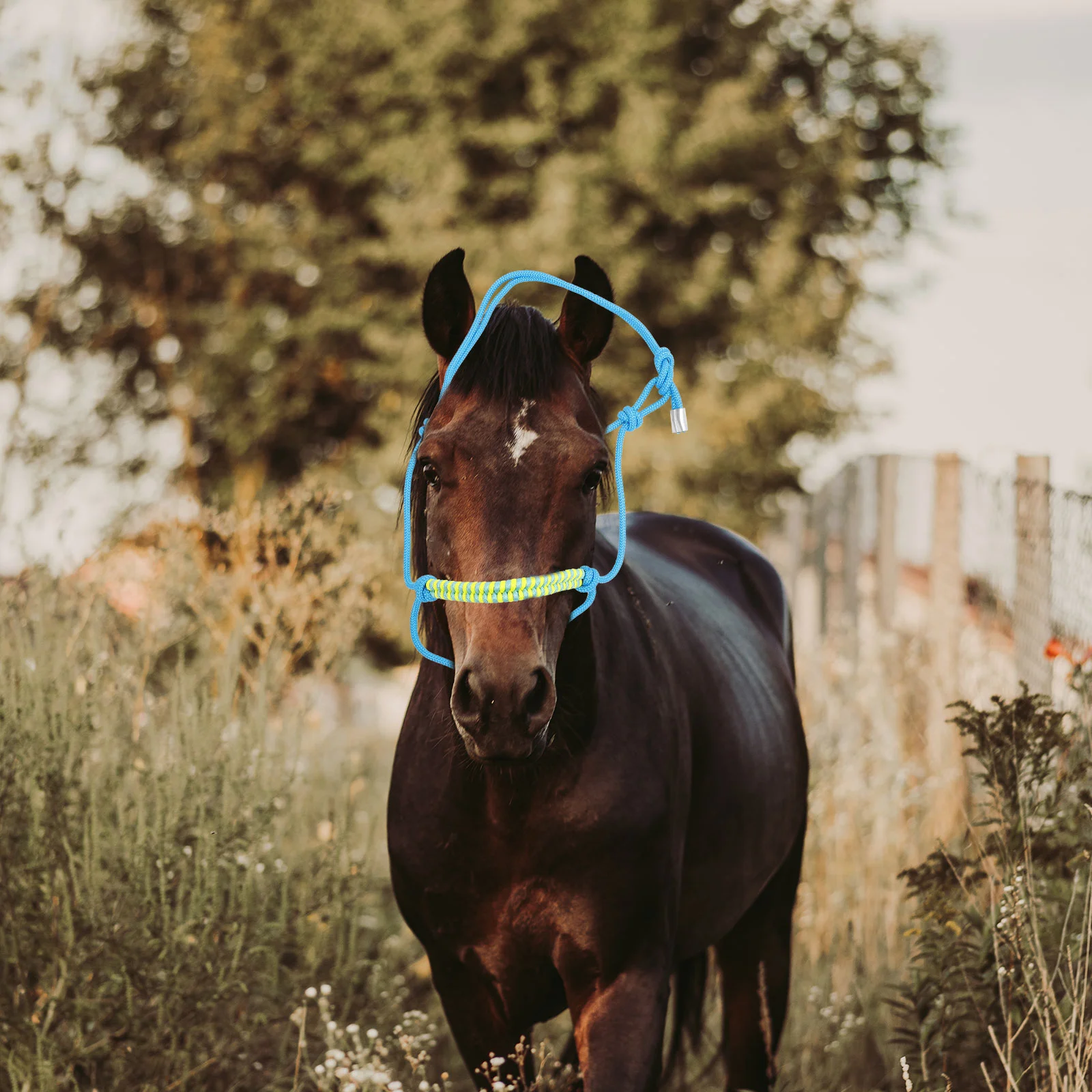 Horse Head Collar Riding Collar Portable Halter Fully Halter Training Halter Braided Rope Halter Bridle Headstall Horse Supply 2