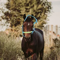 Horse Head Collar Riding Collar Portable Halter Fully Halter Training Halter Braided Rope Halter Bridle Headstall Horse Supply 2