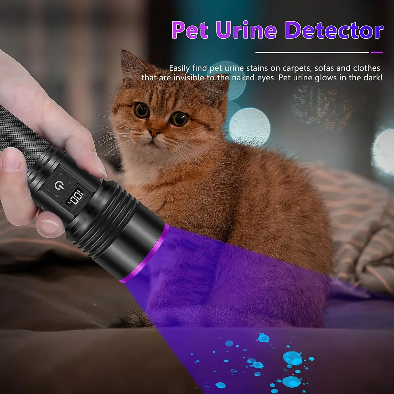 DARKBEAM UV Torch 365nm And 395nm Light, Wood's Lamp Blacklight Ultraviolet Flashlight LED