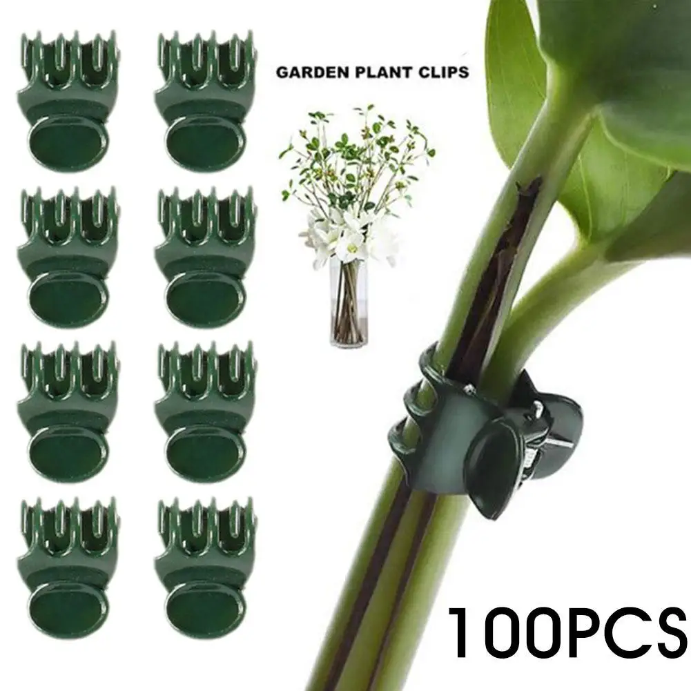 

100PCS Plant Clips Vine Clamp Plant Support For Grafting Tomato Butterfly Orchid Flowers Clip Garden Accessories Tools