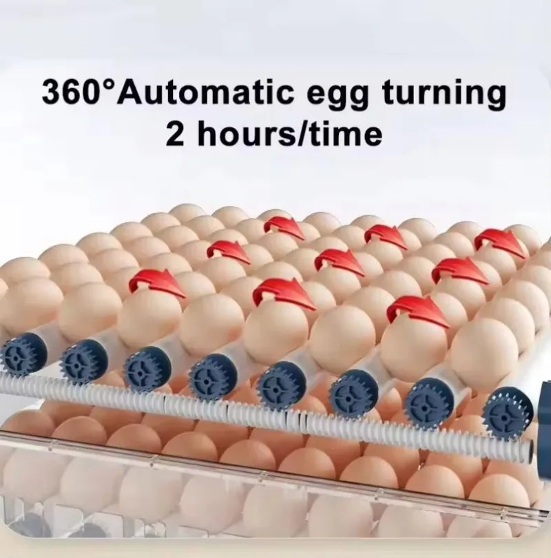 Automatic Egg Incubator Machine 4