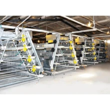  Poultry Farming Equipment a type layer chicken cage with automatic system for sale 