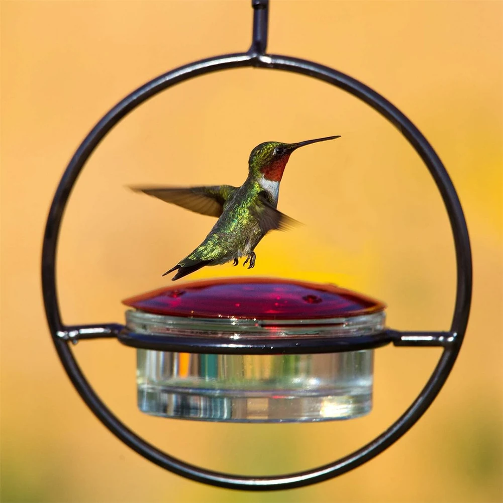 Outdoor Humming Bird Feeder Ant Bee Proof Hummingbird Drinker Feeder with Red Glass Bowl for Outside Garden Backyard Patio Deck