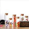 6pcs Mini Glass Bottle 5ml 10ml 20ml 25ml 30ml 40ml Glass Test Tube Jars Message Vials Cork Decoration Containers Sample Test 6