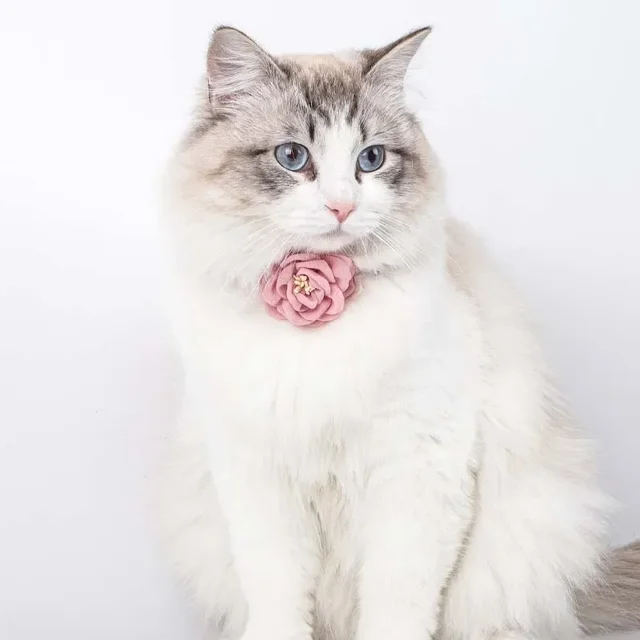 Cat Collar Adjustable Bow Tie Cat Flower Collar Safety Button Tie Necklace Puppy and Cat Gift Pet Accessories Puppy Collar 4