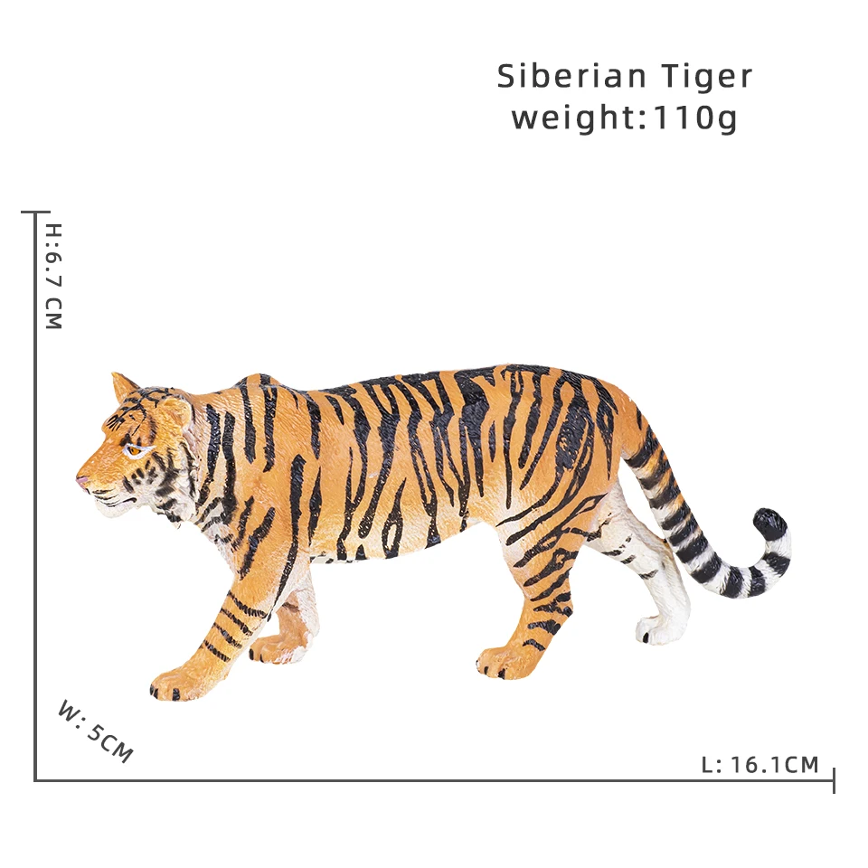 Siberian Tiger1