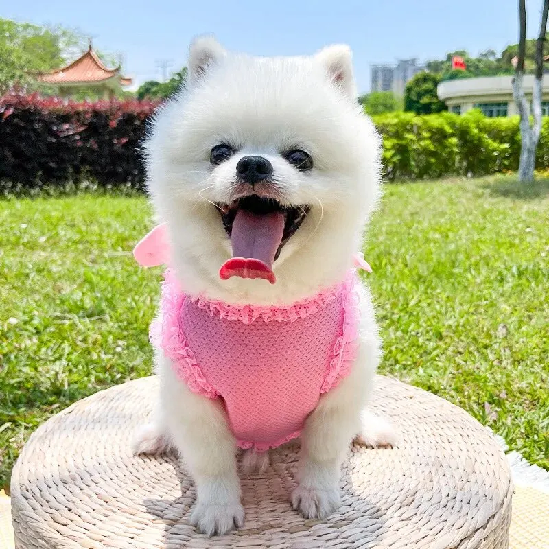 Dog Cat Pet Supplies Clothing Leash Bow Tie Chest Strap Dog Walker dog leash pet bow tie dog chest strap