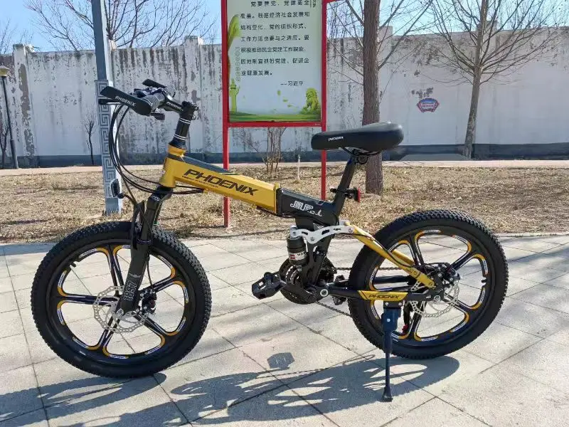 SKIG Bicycle Boys Girls Pedal Bike Folding 20 Inch Shift Mountain Bike Herrenfahrrad Bicicleta Plegable Camping