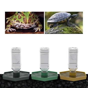 Reptile Water Feeder Bowl 1