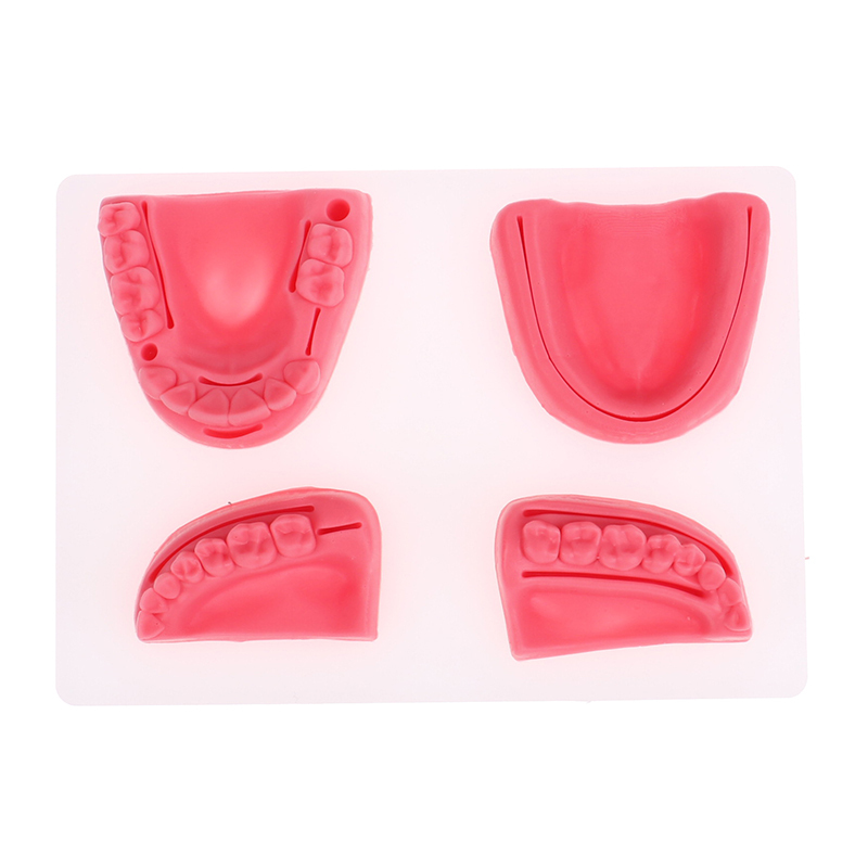 4pcs/set Dental Simulation Oral Suture Model Gum Suture Teaching Training Equipment Simulation Dental Model