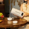 Home & Car Portable Electric Kettle 1.0L Electric Heating Cup Multifunction Boiled Water Pot Outdoors Travel Teapot 12V 24V 220V 5