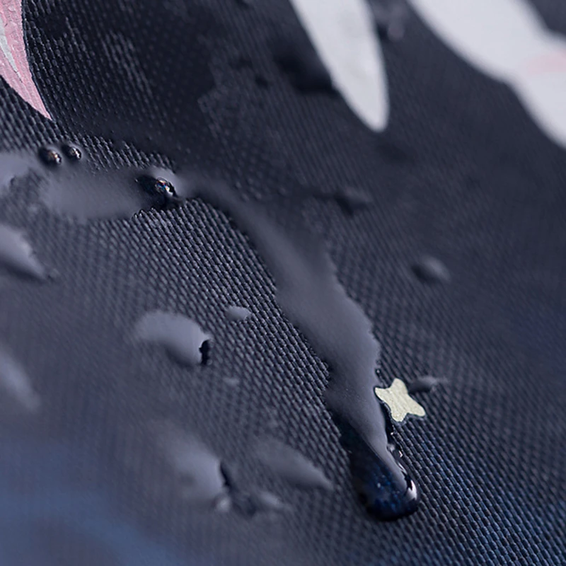 Cooler Lunch Bag Fashion Multicolor Bags Women Waterproof Hand Pack Thermal Breakfast Box Portable Picnic Travel