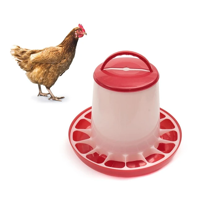 Poultry Feeder, No More Waste, Holds 3kg