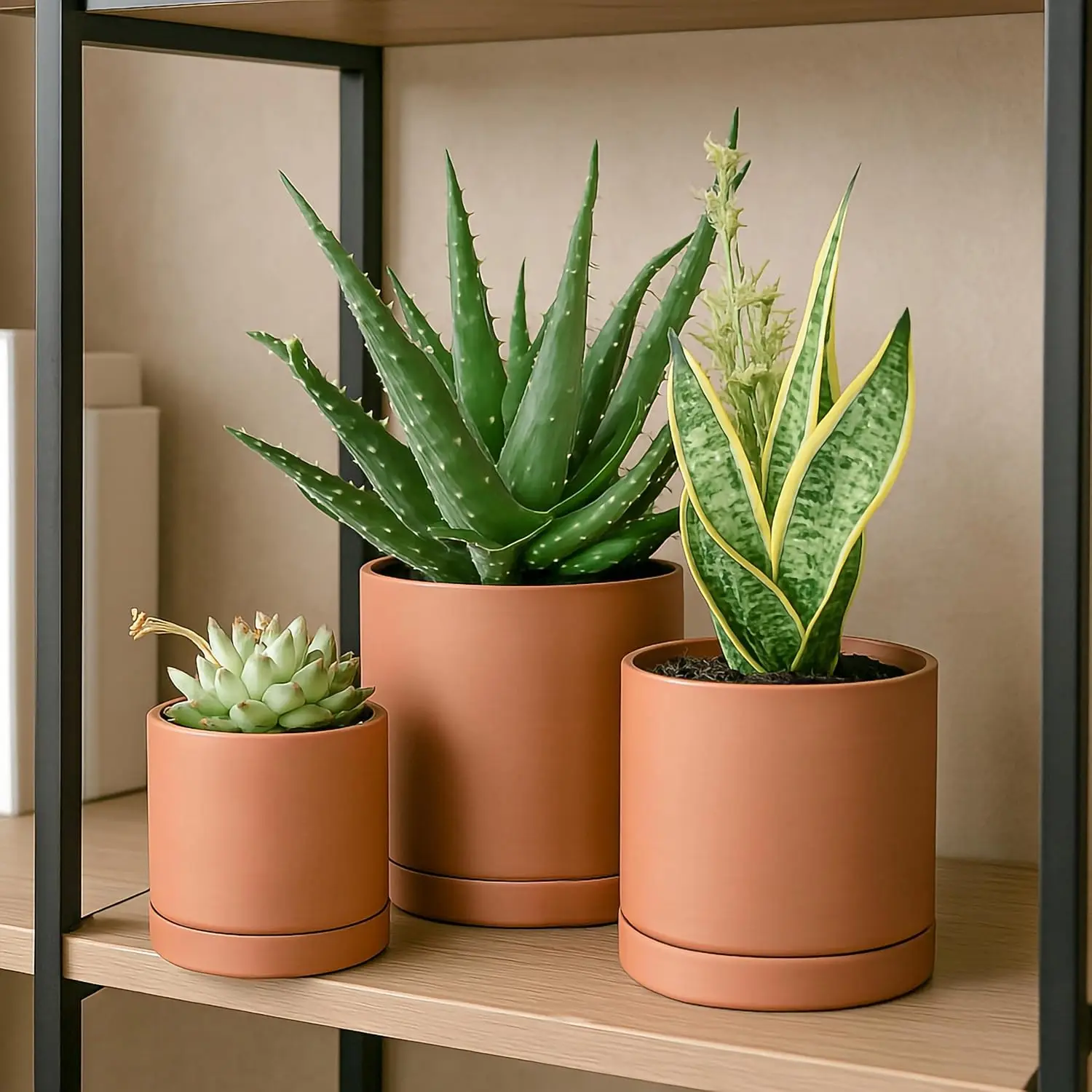 Matte terracotta pot variety on desk