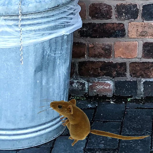 3X Élénk Egér Utánzás Állati Hűtőmágneses Játékok Egerek Kültéri Kerti Gyepfa Dekoráció Virág Edény Miniatűr Kézműves - Image 5