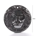 Big lion face
