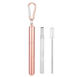 Portable 23cm Stainless Steel Telescopic Reusable Straw with Cleaning Brush (Pink)