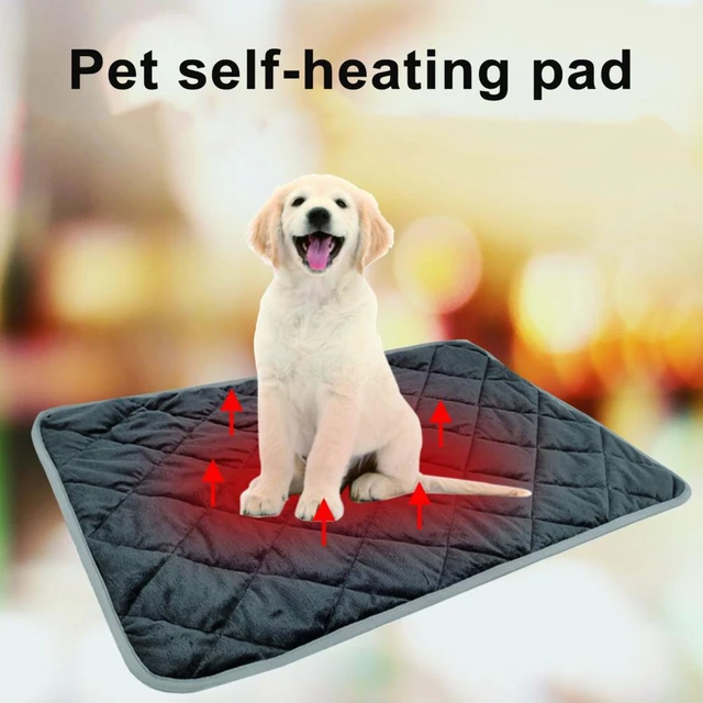 Dog/Cat Electric Heating Blanket Mat Sleeping Bed Self-Warming Pet Pad  Anti-slip Floor Blanket Mat Autumn Winter - AliExpress