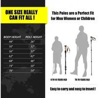 2Pcs Ultralight Trekking Poles Walking Sticks Hiking Canes Folding Carbon Fiber Walking Pole Nodic Walking Sticks 2