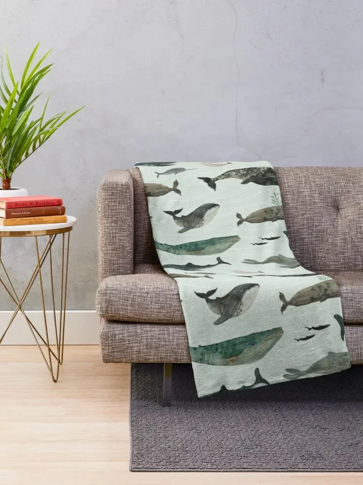 ������ ���� ������ ���, ���ſ� ���ڱ� ������ ���� ���