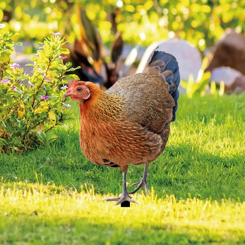 Slide image a7fcbb9ef9c44dafad39f75ddfbdcca9