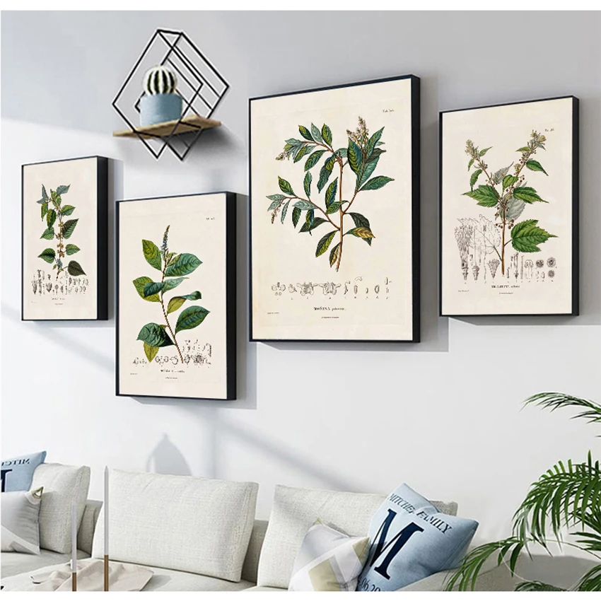 Pittura su tela Botanica Immagini d'arte da parete Decor Studi botanici Poster e stampe vintage Illustrazioni di piante francesi antiche - immagine 3